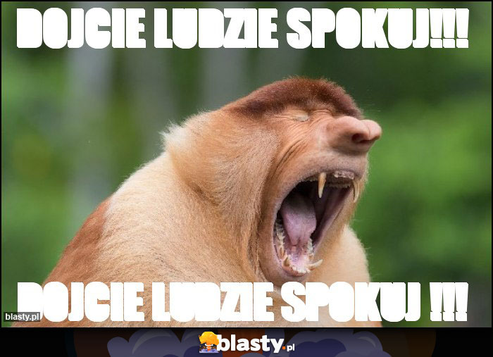 DOJCIE LUDZIE SPOKUJ!!!