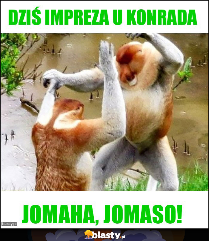 DZIŚ IMPREZA U KONRADA