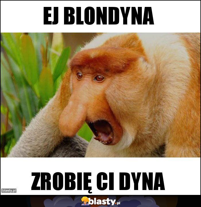 Ej blondyna