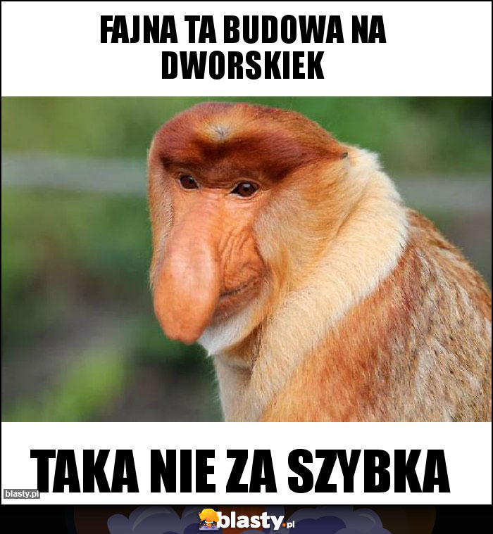 Fajna ta budowa na dworskiek