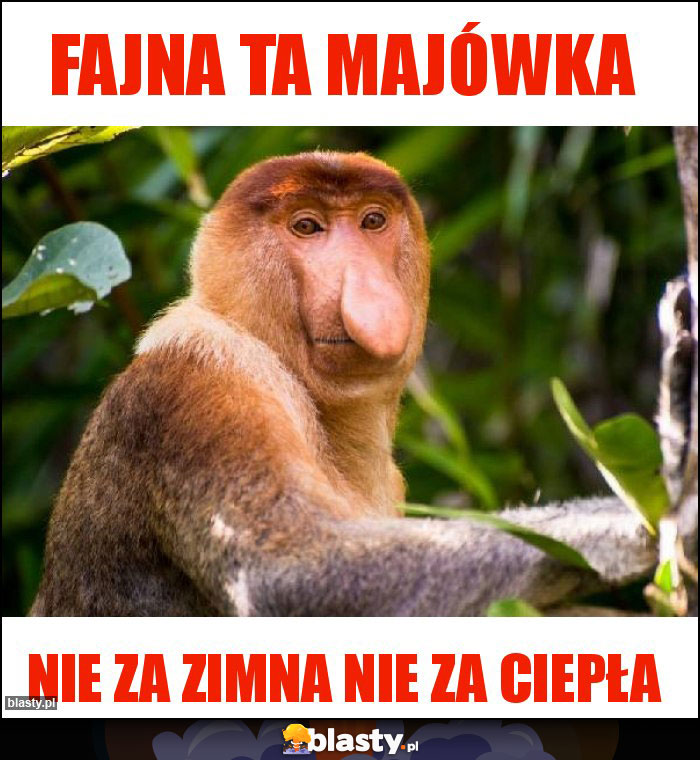 Fajna ta majówka