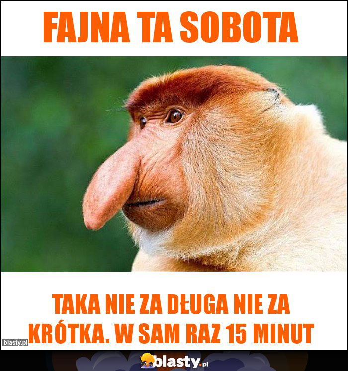 Fajna ta sobota