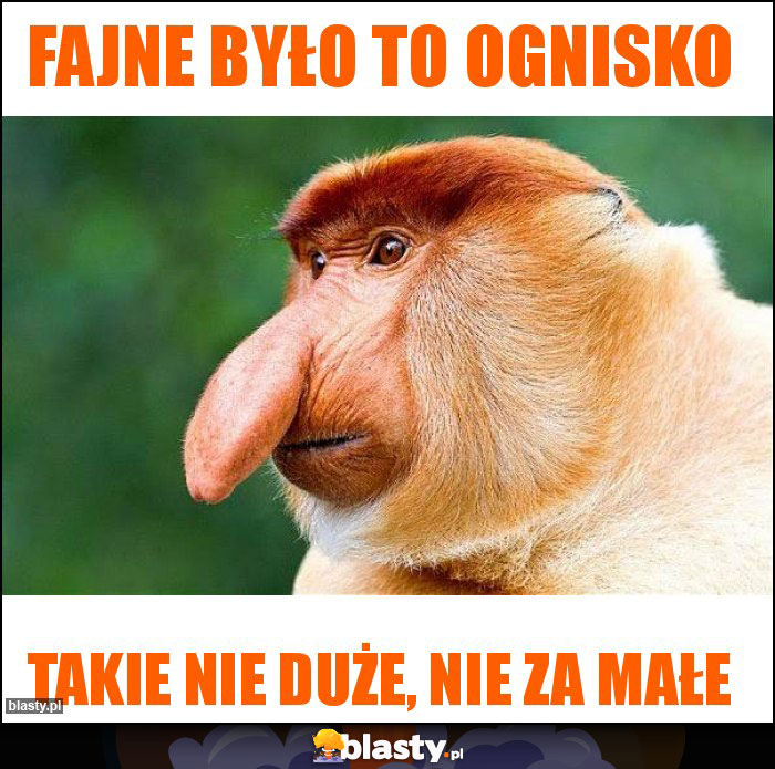 fajne było to ognisko