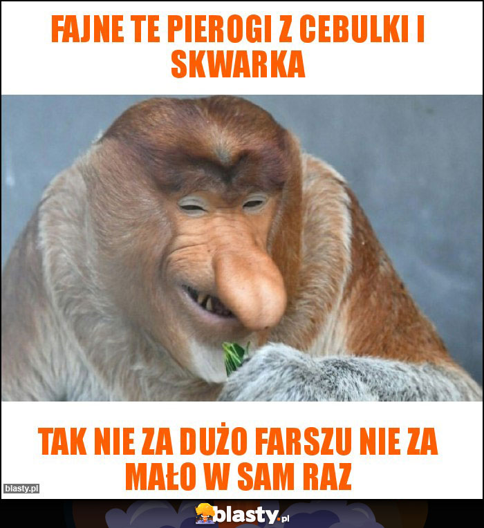 Fajne te pierogi z cebulki i skwarka