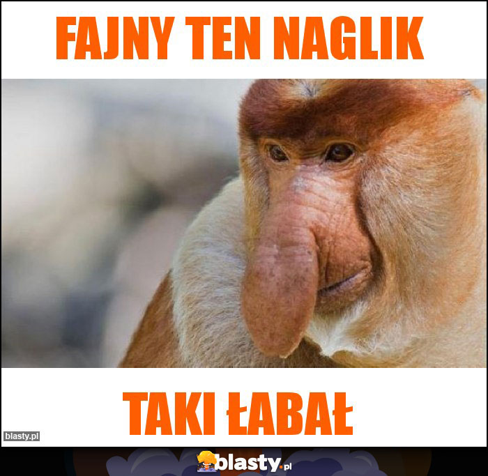 Fajny ten Naglik