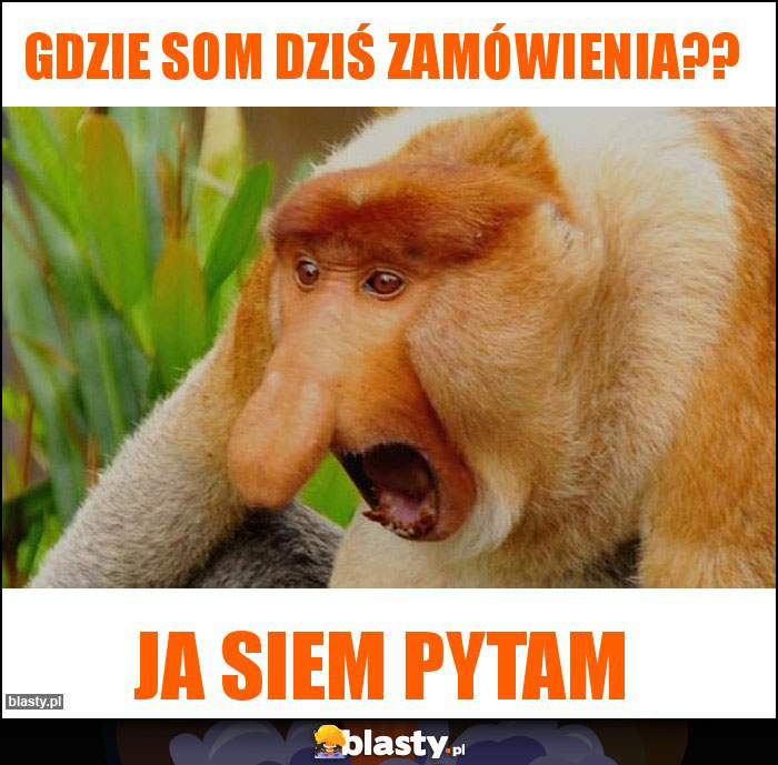 Gdzie som dziś zamówienia??