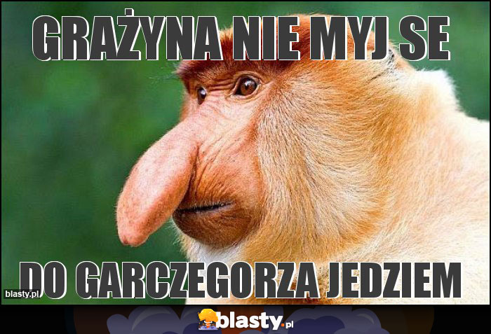 GRAŻYNA NIE MYJ SE