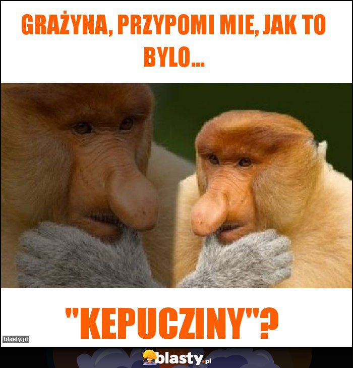 Grażyna, przypomi mie, jak to bylo...