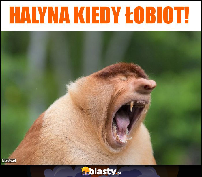 HALYNA KIEDY ŁOBIOT!