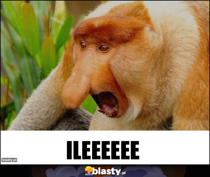 ILEEEEEE