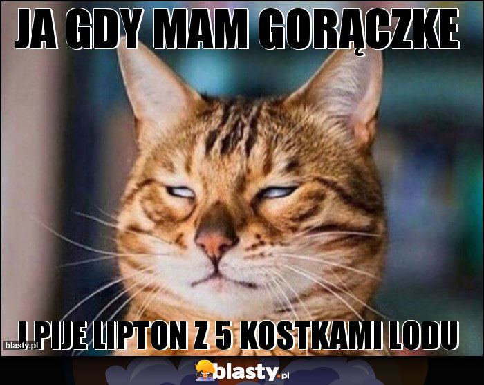 ja gdy mam gorączke