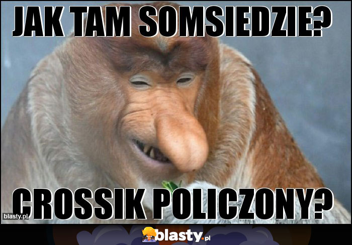 Jak tam somsiedzie?