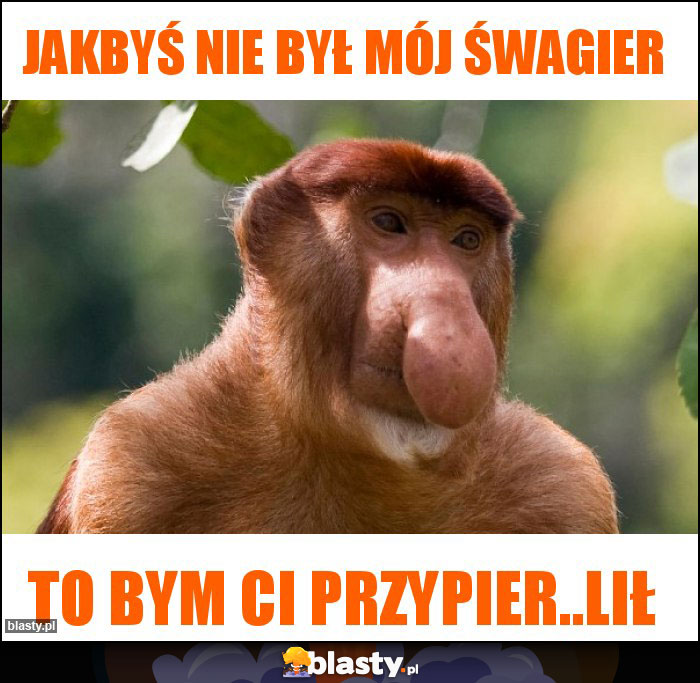 Jakbyś nie był mój śwagier