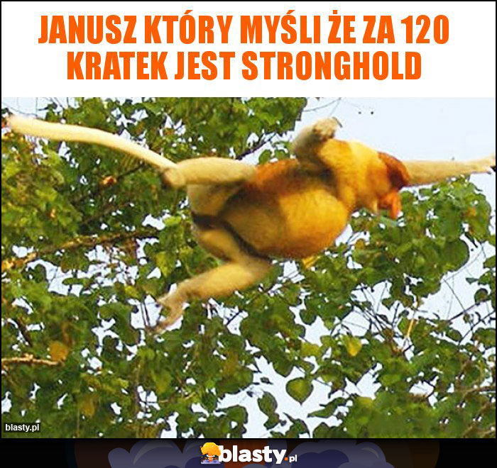 Janusz który myśli że za 120 kratek jest stronghold