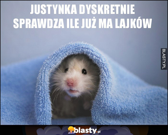 Justynka dyskretnie sprawdza ile już ma lajków