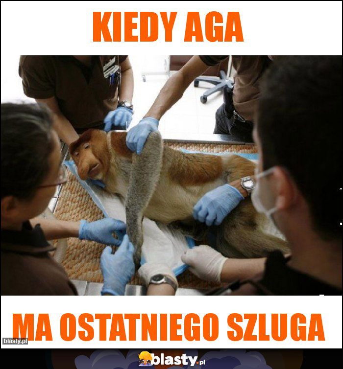 Kiedy aga