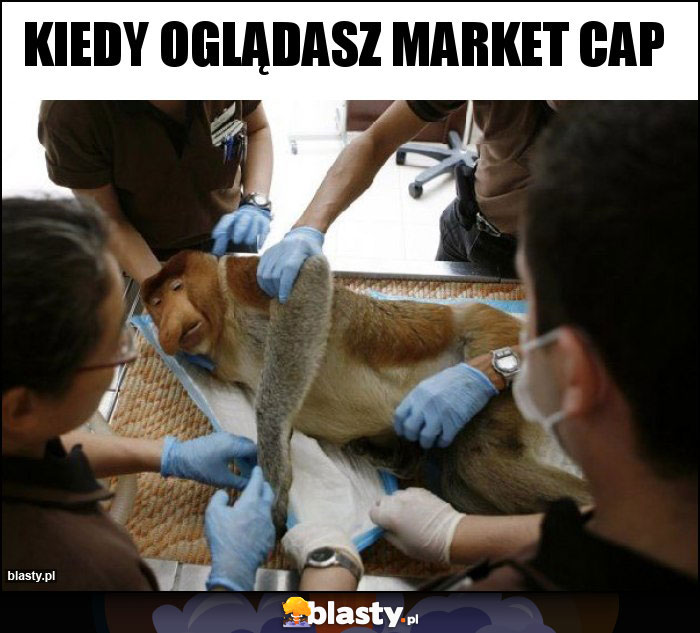 kiedy oglądasz market cap