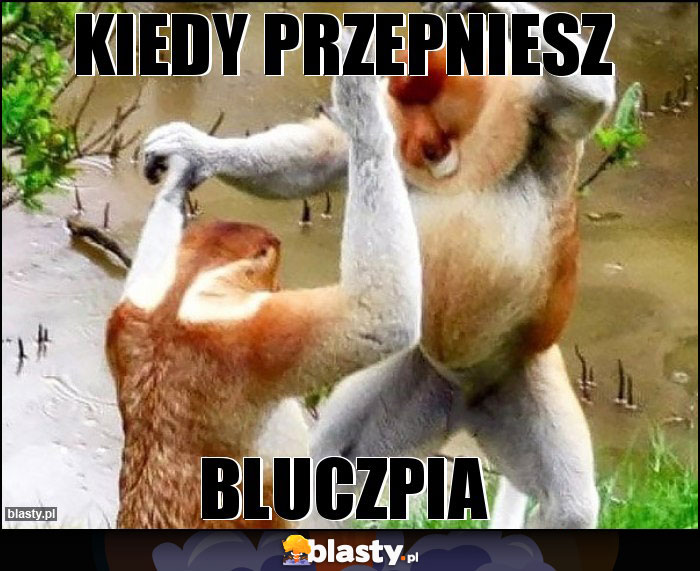 kiedy przepniesz