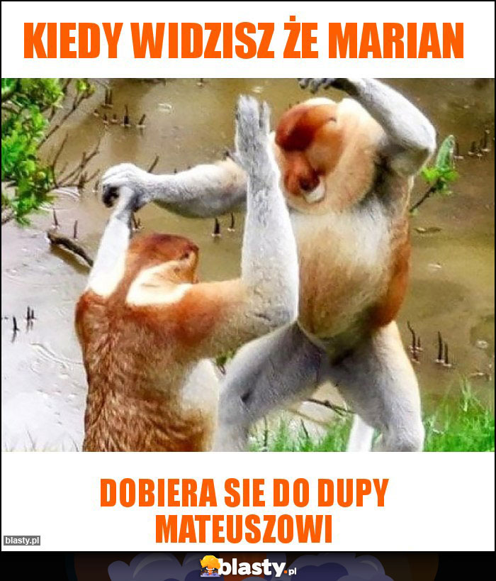 Kiedy widzisz że MARian