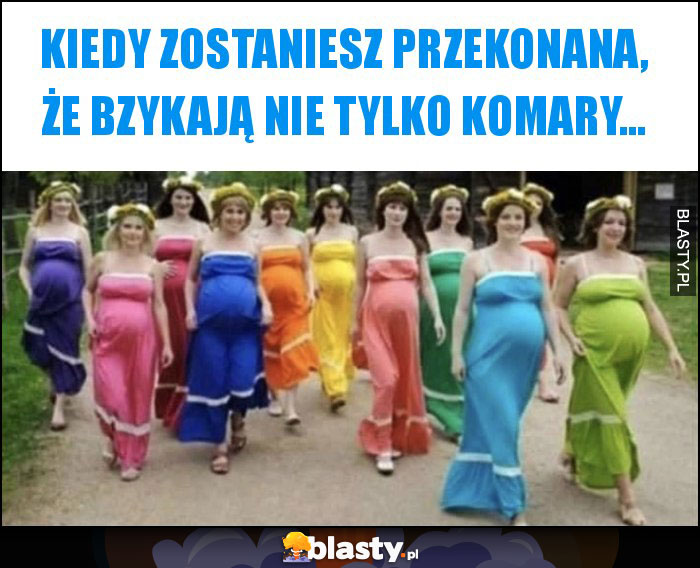 Kiedy zostaniesz przekonana, że bzykają nie tylko komary...