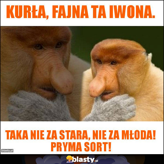 Kurła, fajna ta Iwona.