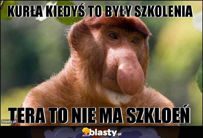 Kurła kiedyś to były szkolenia