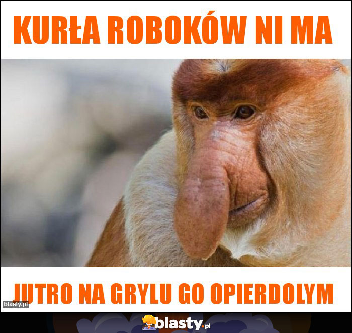 KURŁA ROBOKÓW NI MA