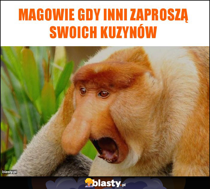 Magowie gdy inni zaproszą swoich kuzynów