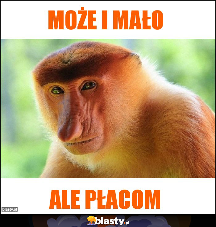 Może i mało