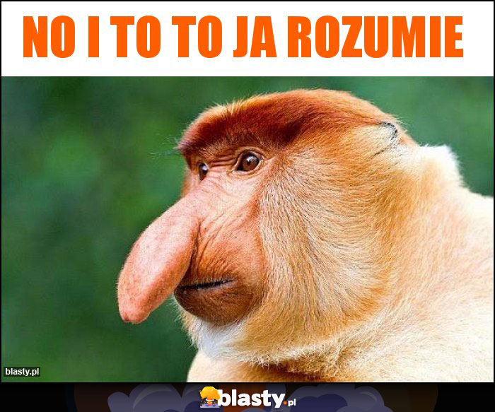 NO I TO TO JA ROZUMIE