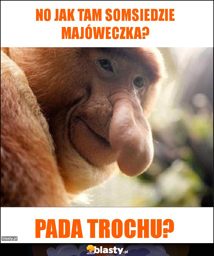 No jak tam somsiedzie majóweczka?