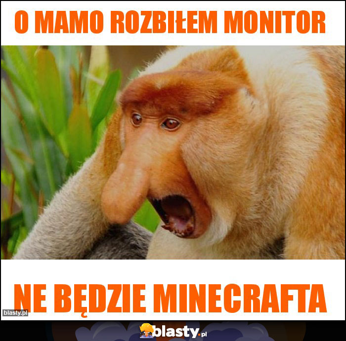 O mamo rozbiłem monitor