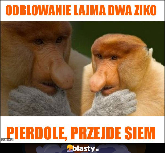 Odblowanie lajma dwa ziko