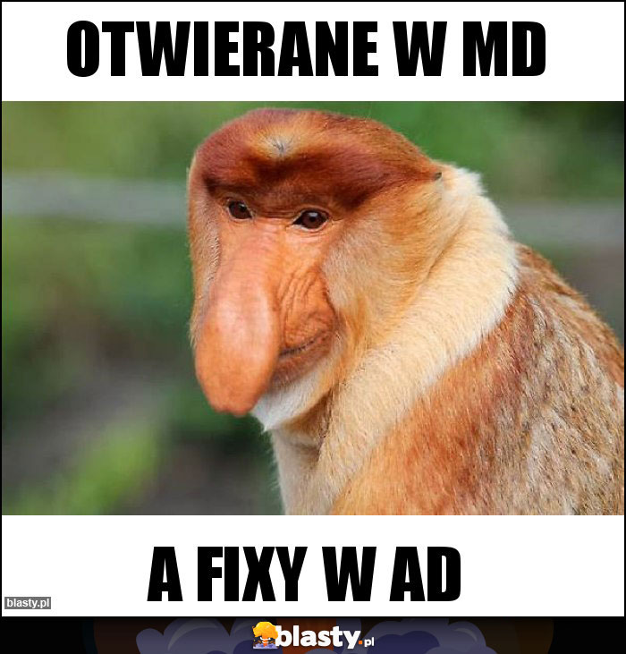 Otwierane w MD