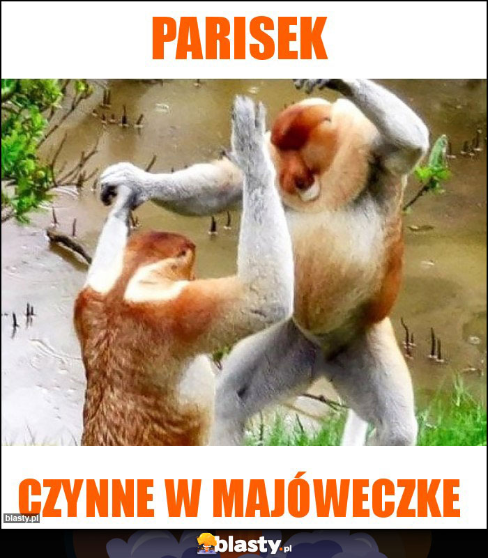 Parisek