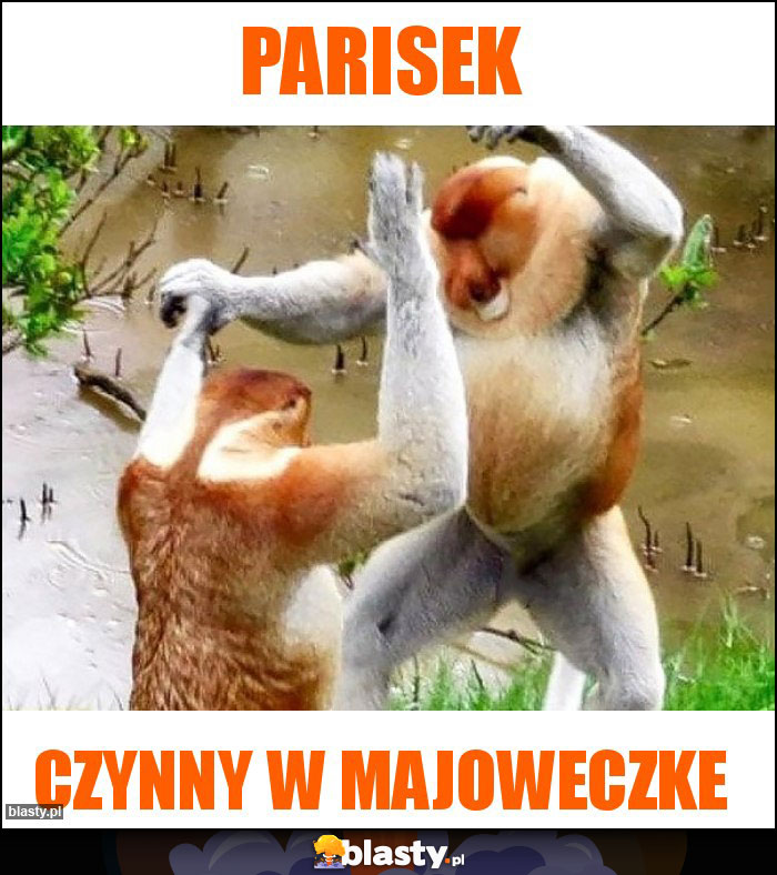 PARISEK