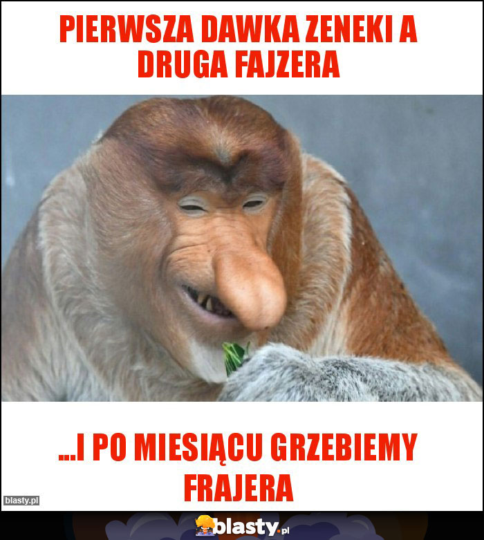 Pierwsza dawka Zeneki a druga Fajzera