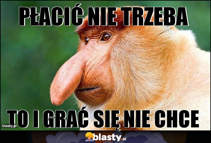 płacić nie trzeba