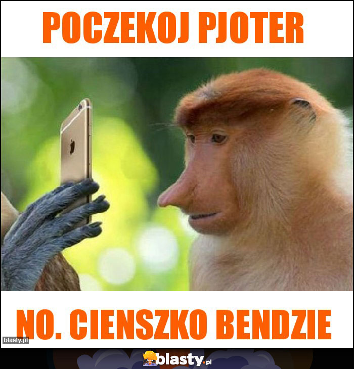 Poczekoj pjoter