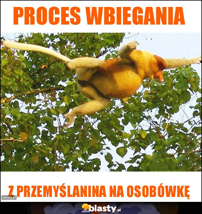 Proces wbiegania