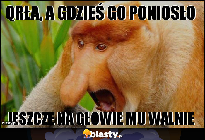 QRŁA, a gdzieś go poniosło