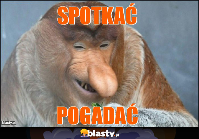 Spotkać