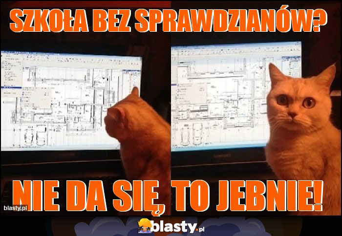 szkoła bez sprawdzianów?