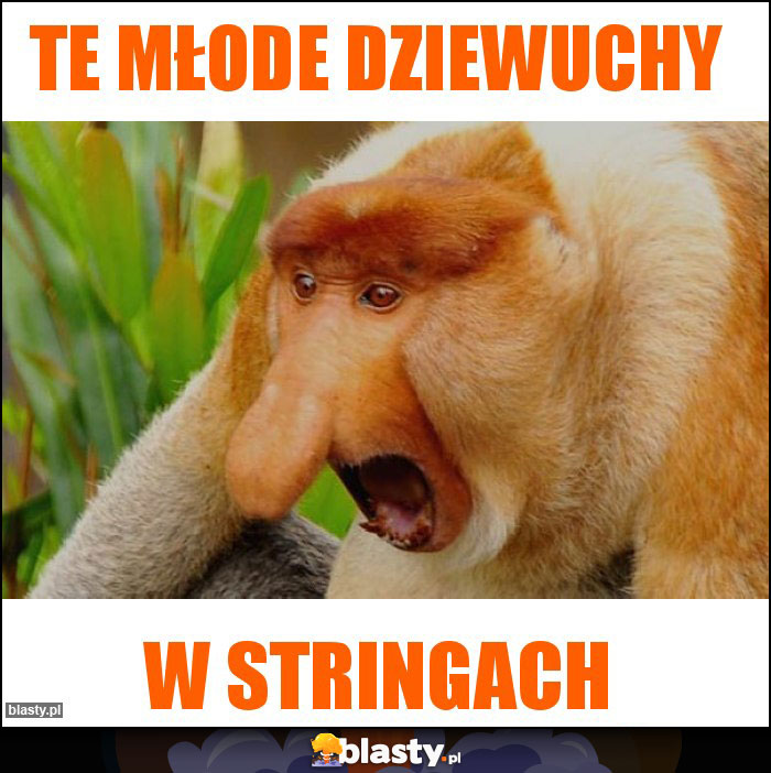 TE MŁODE DZIEWUCHY