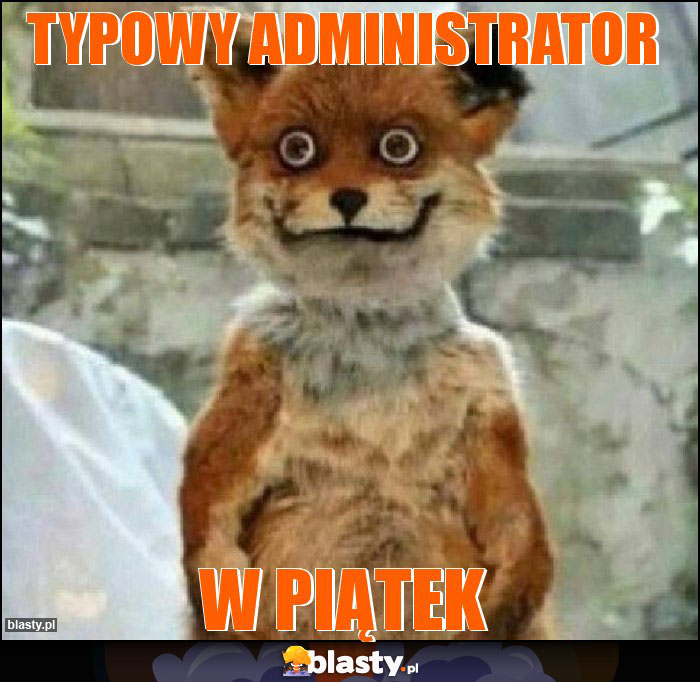 Typowy Administrator