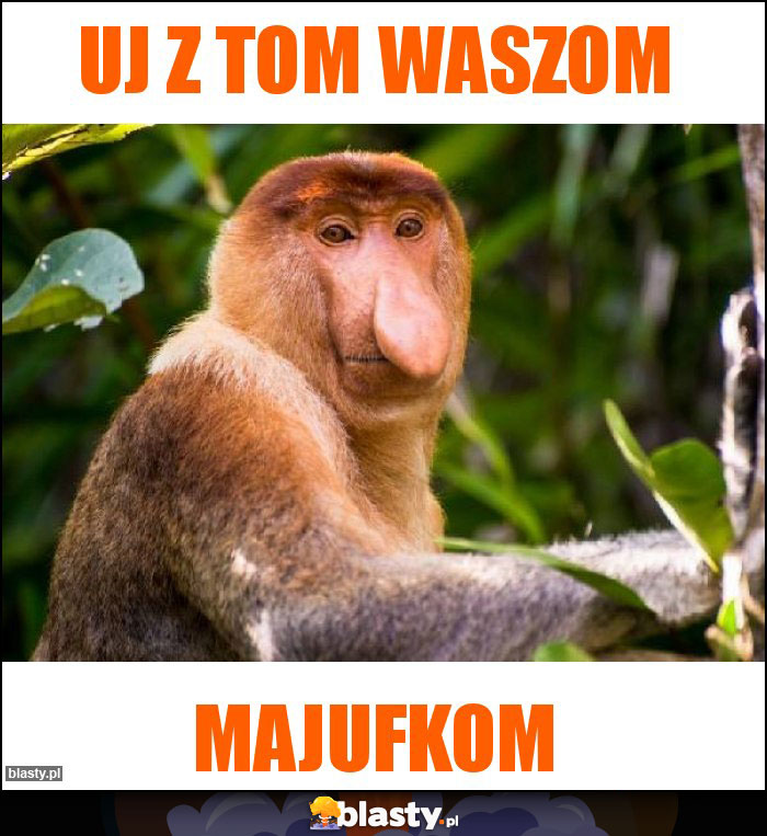 UJ Z TOM WASZOM