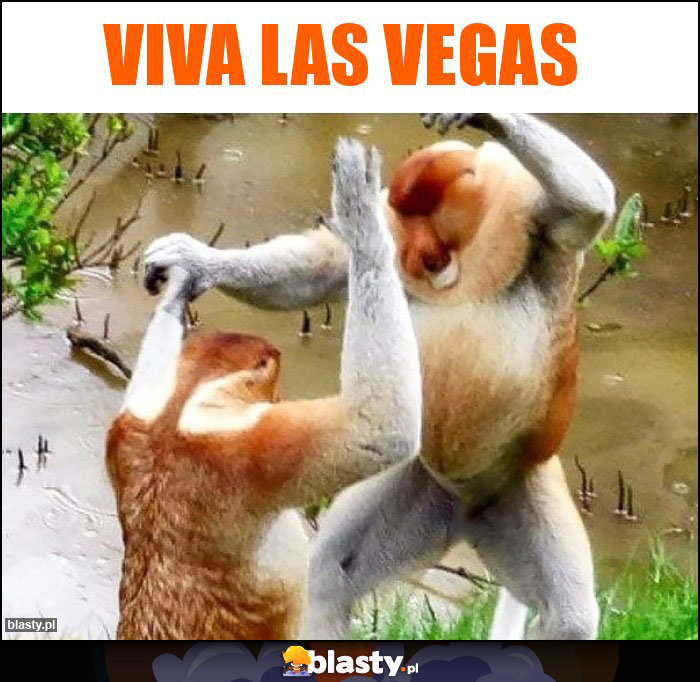 Viva las vegas