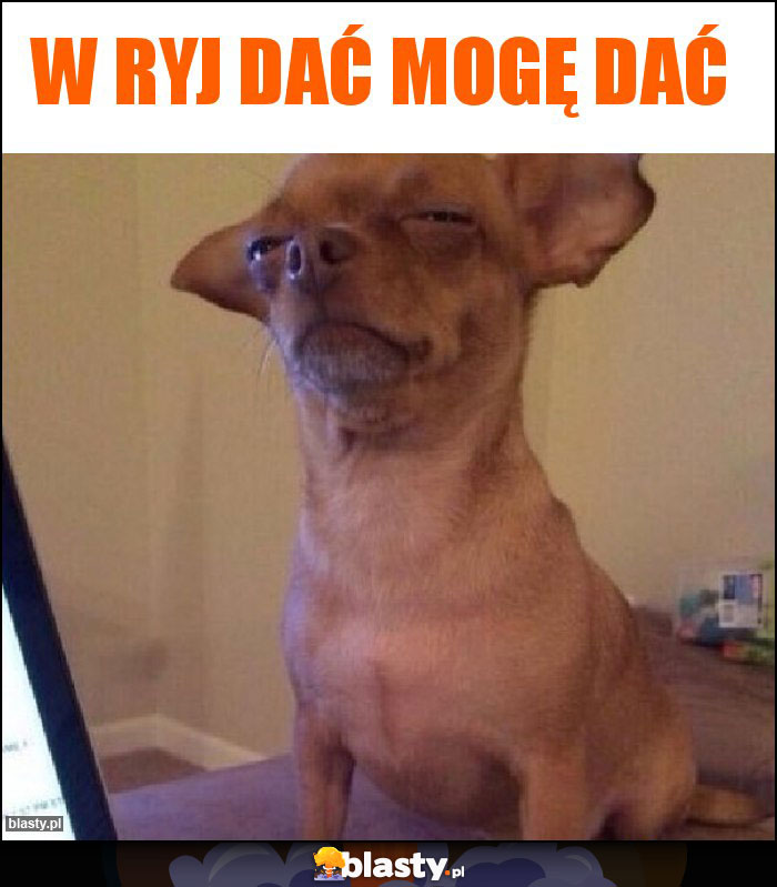 W ryj dać mogę dać