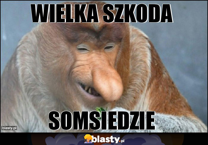 Wielka szkoda