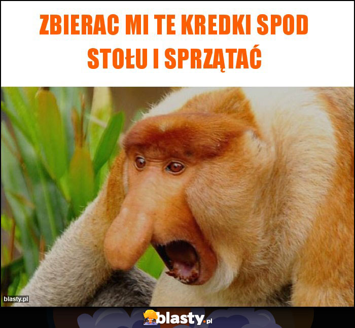 Zbierac mi te kredki spod stołu i sprzątać